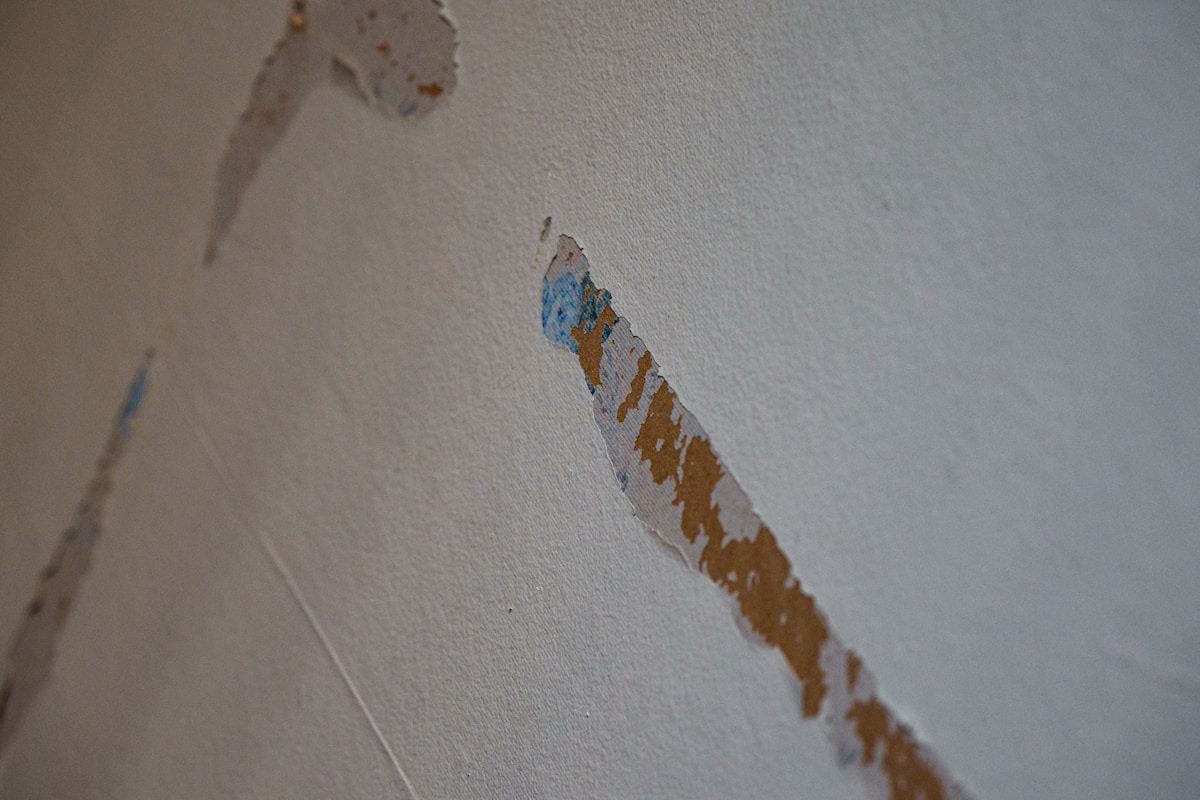 Mold Remediation service in Levittown, PA